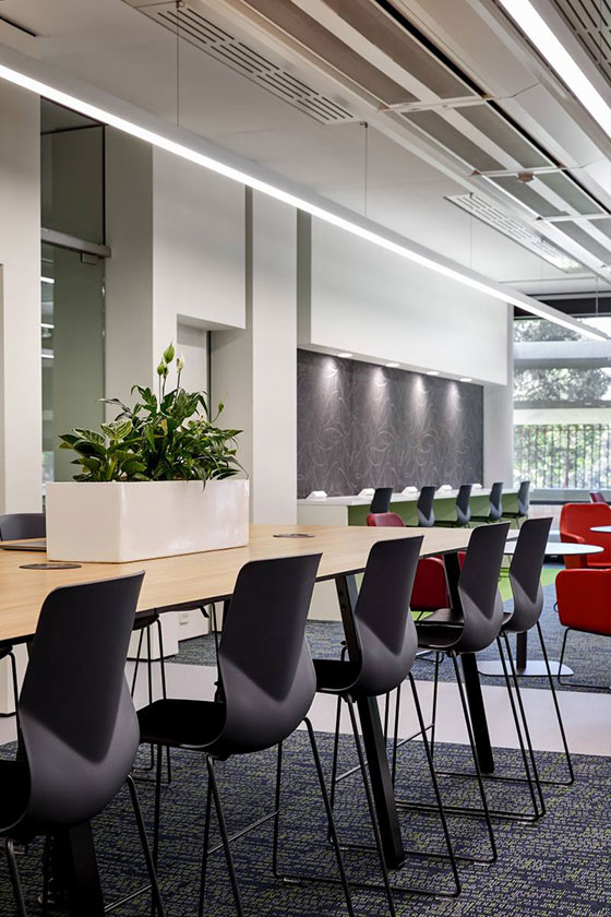 University of Sydney Law and Fisher Library